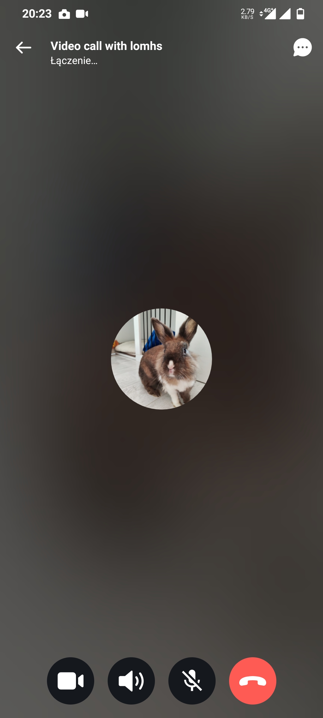 Screenshot_20211113-202358