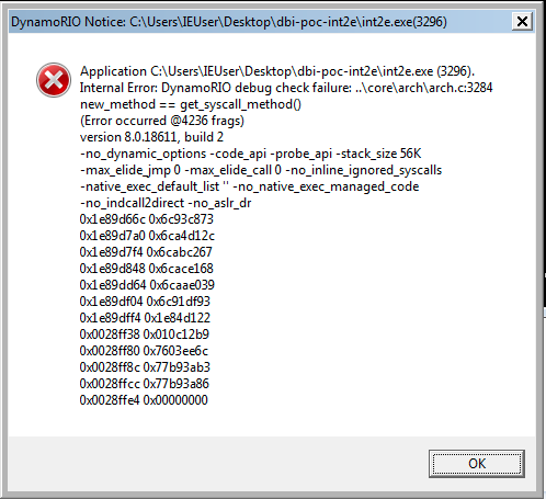 drrun-debug-crash