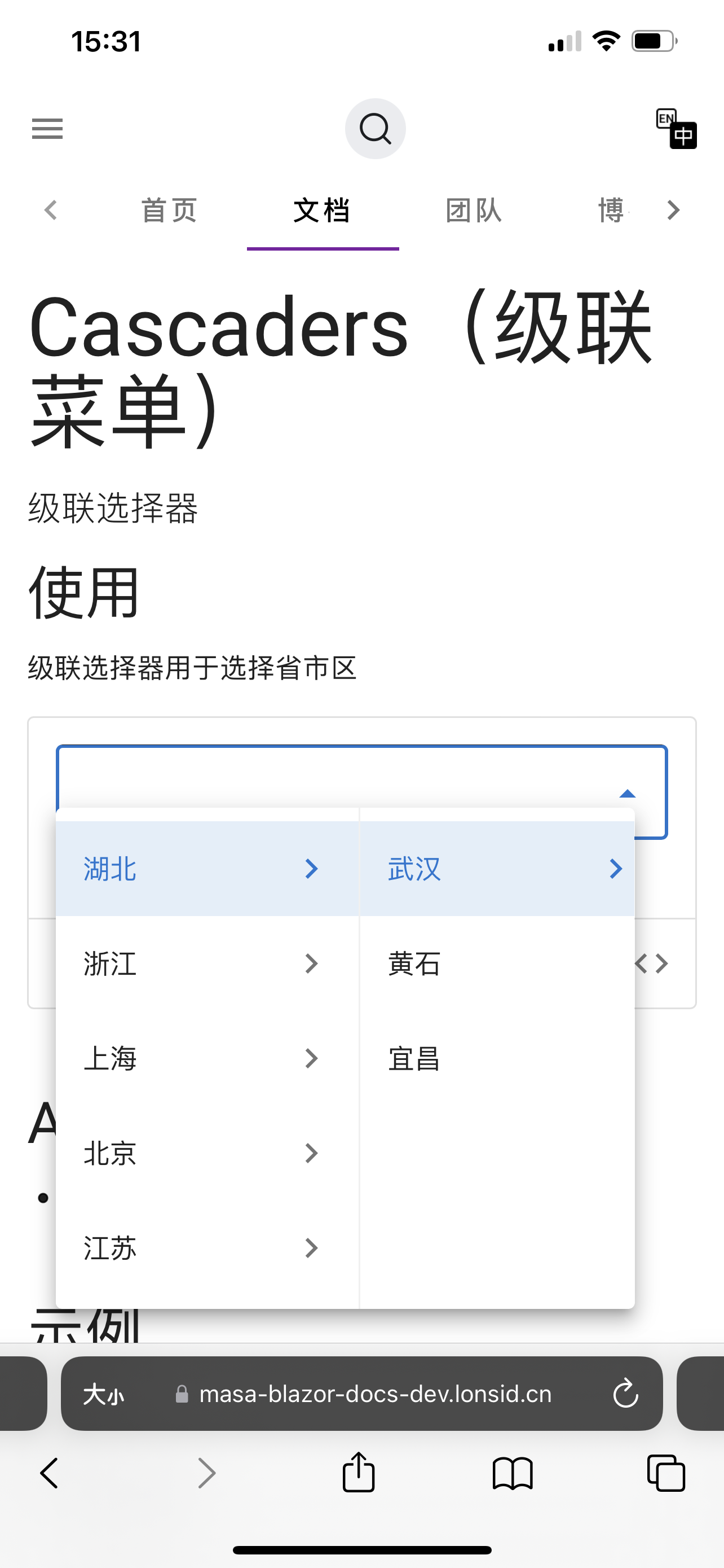 Cascader . The cascading menu is not fully displayed · Issue #694 ...