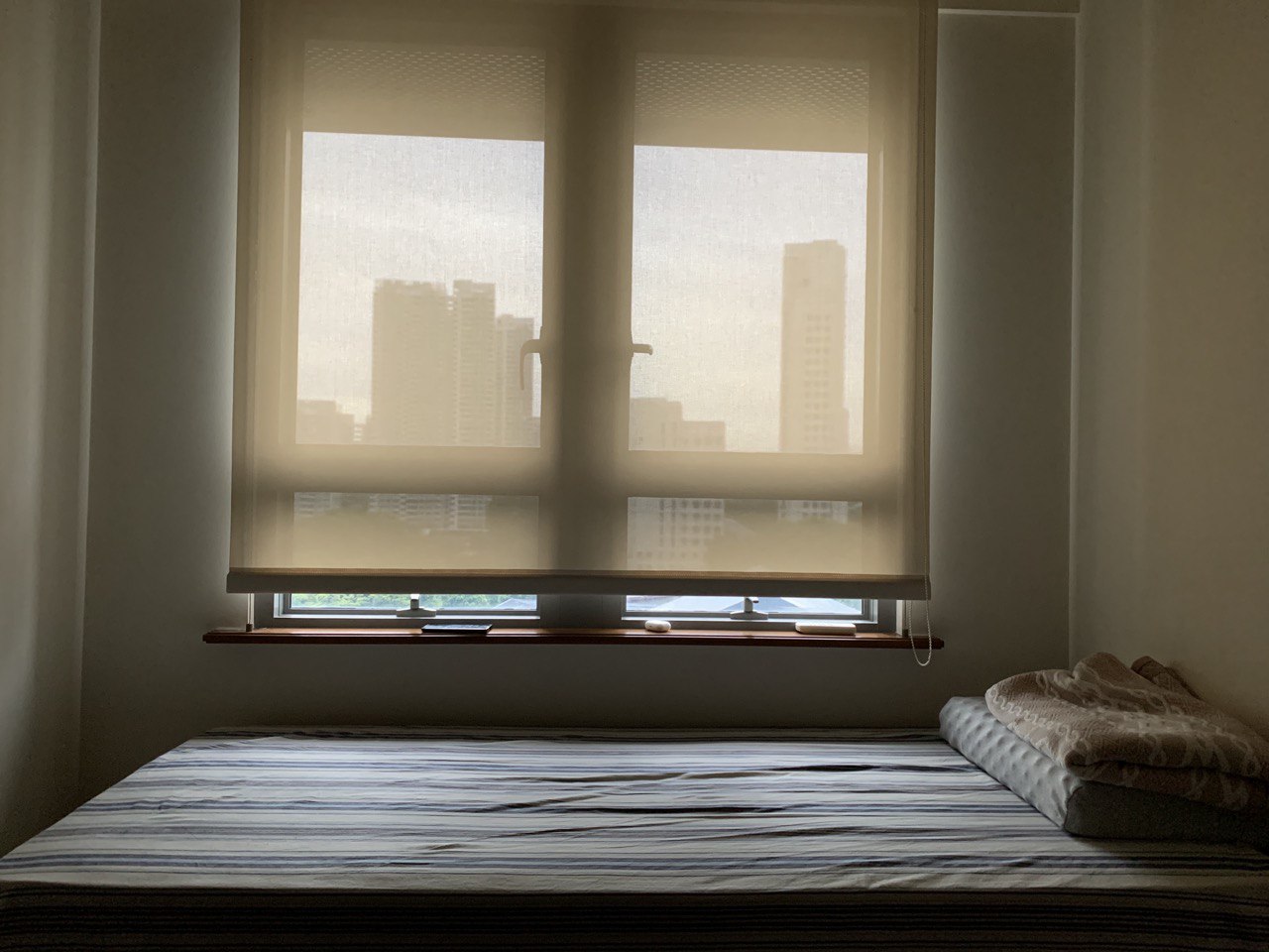 photo_2020-11-29 15 13 59