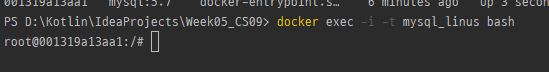 mysql_bash접속