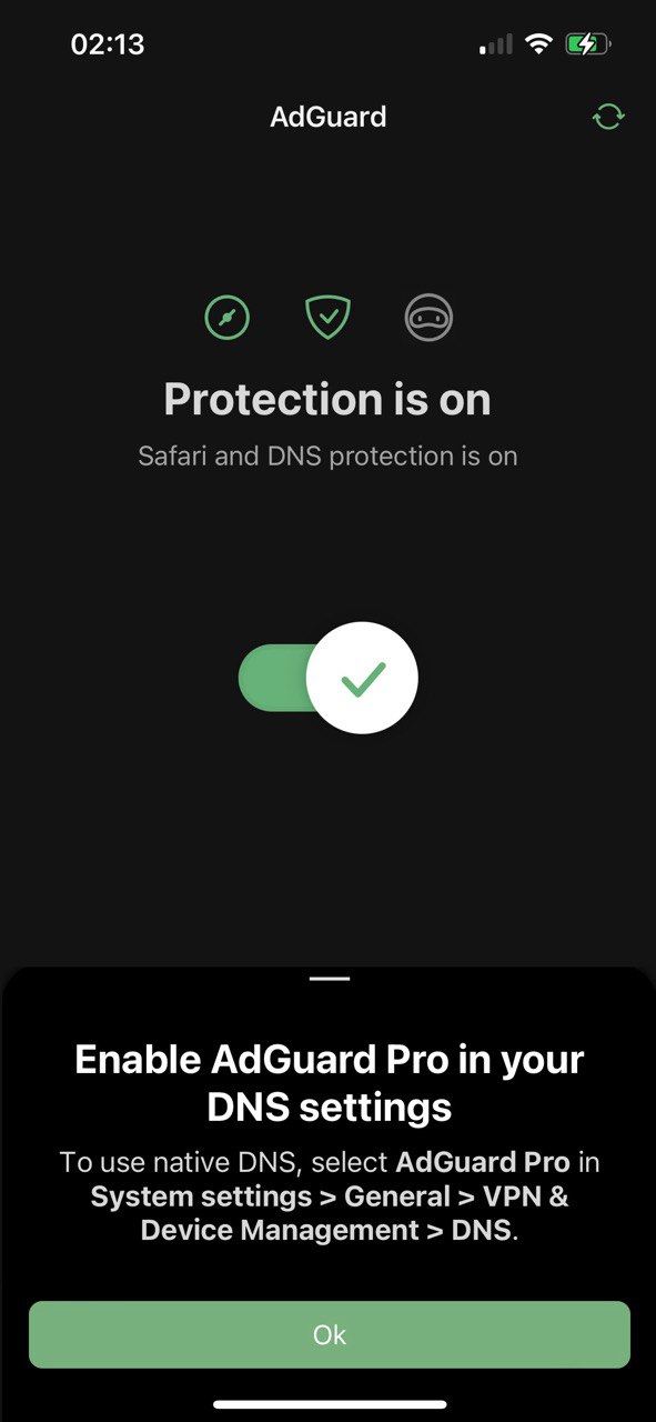 When Using Native DNS Notify The User That They Have To Manually 