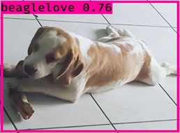 GitHub - kmskie96/Dog-breed_project · GitHub