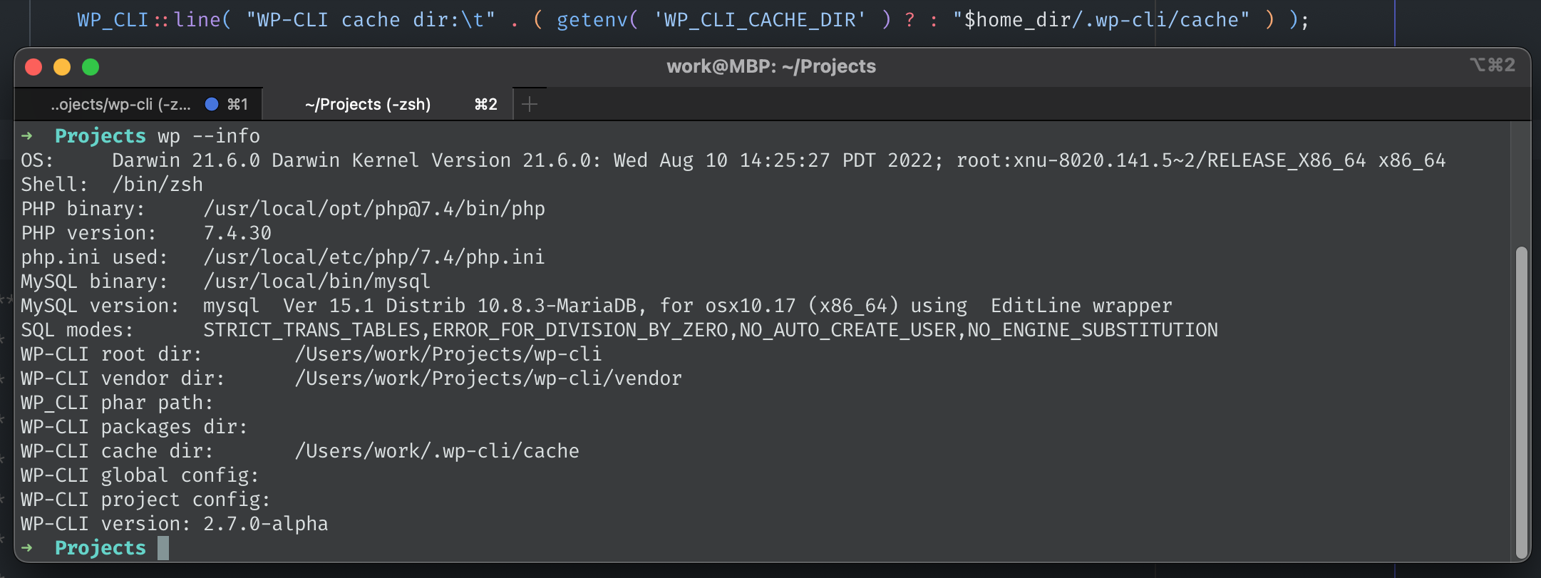 wp-cli-info-cache