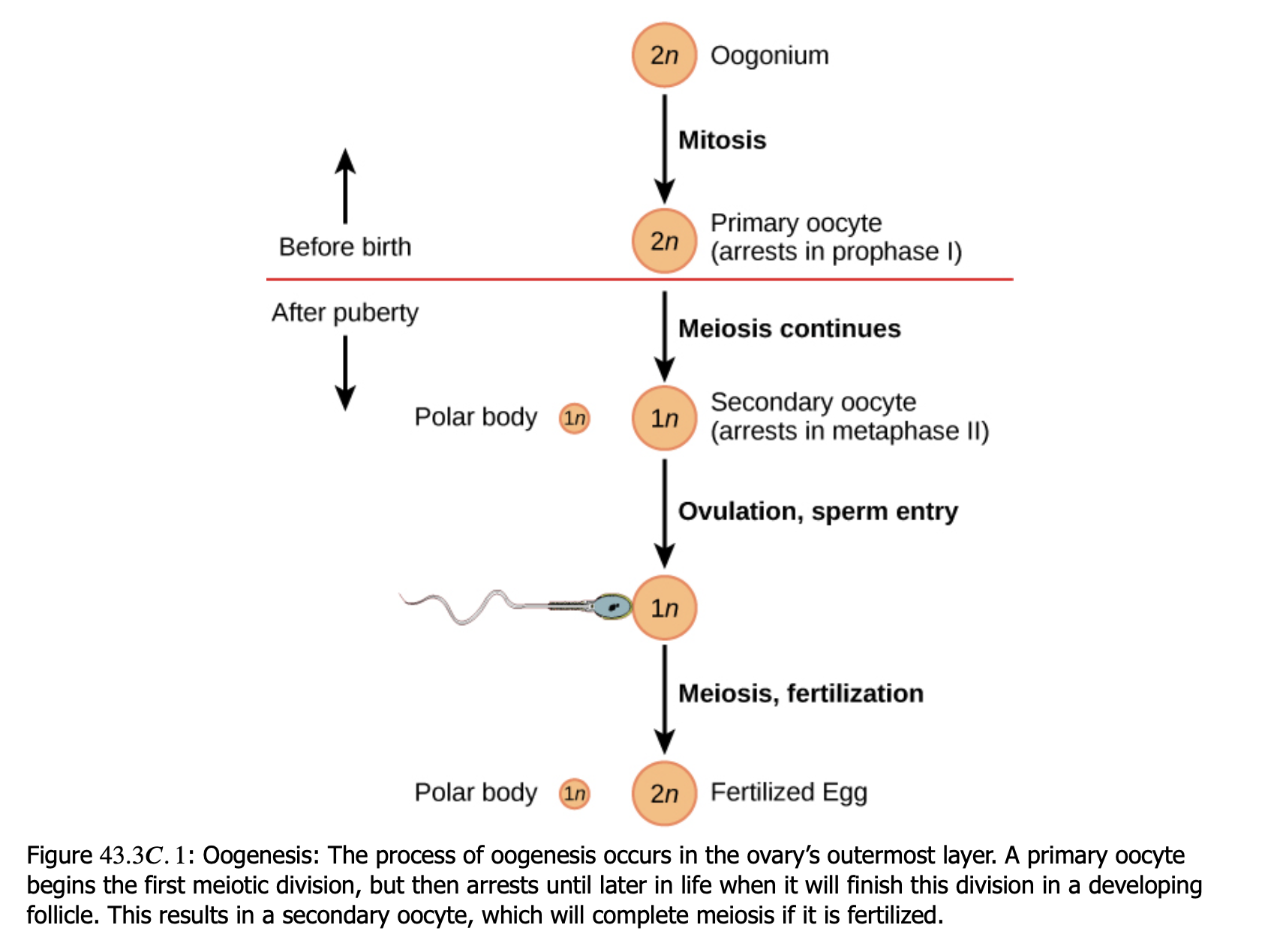 Screenshot 2023-03-02 at 14 05 25