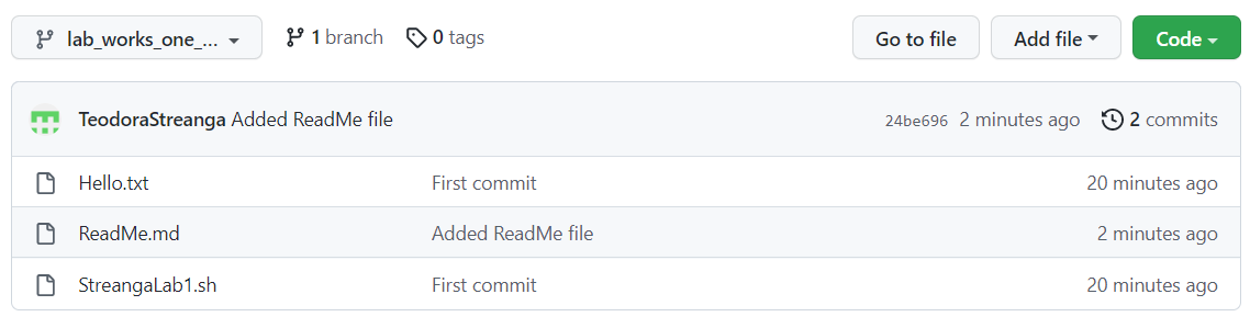 GitHub - EnderTeo13/OS-Labs · GitHub