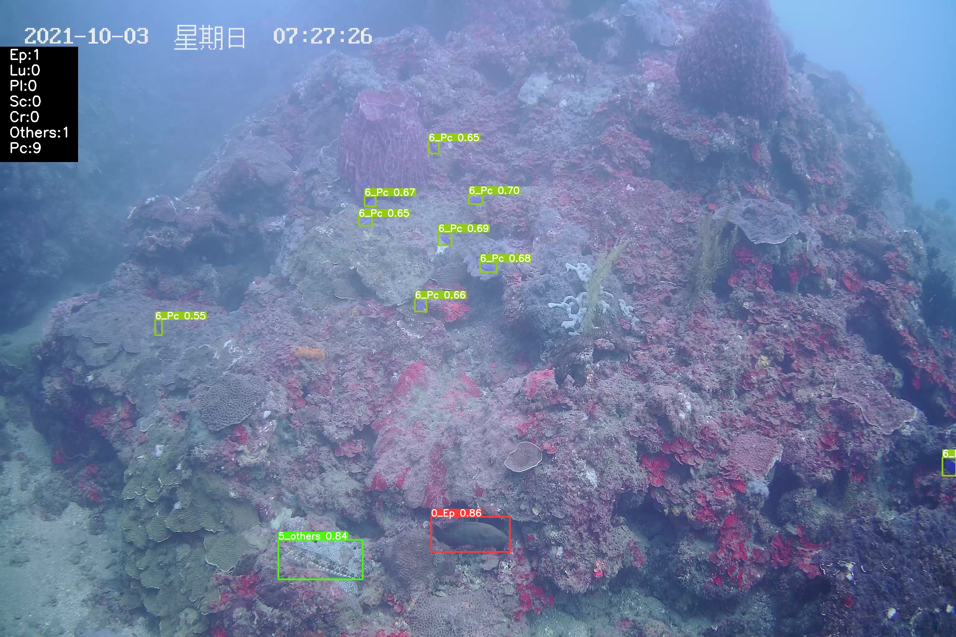GitHub Alanlee0323/Coral_Reef_Restoration_Indicator_Fish_Species
