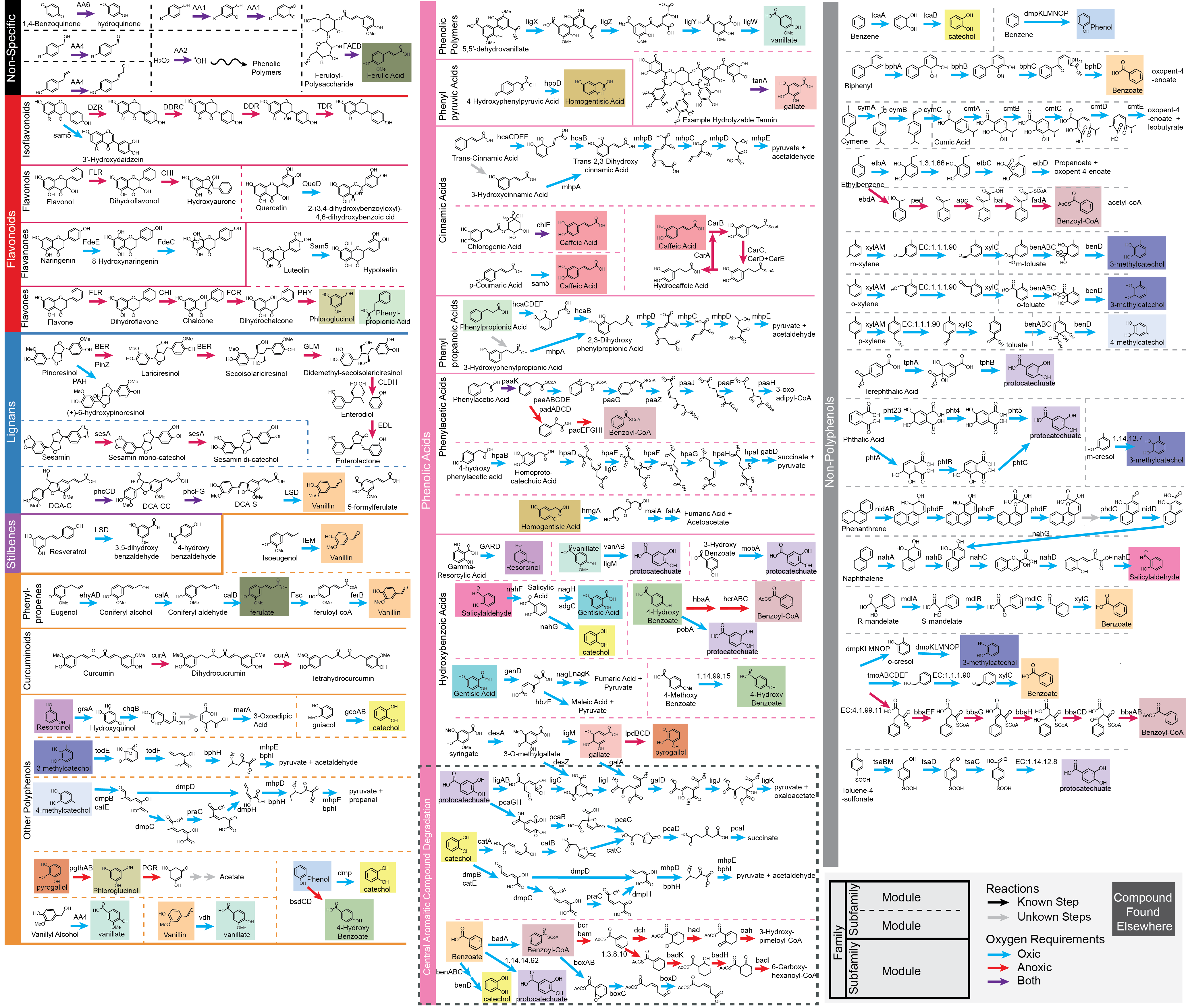 CAMPER_RoadMap_v1-01