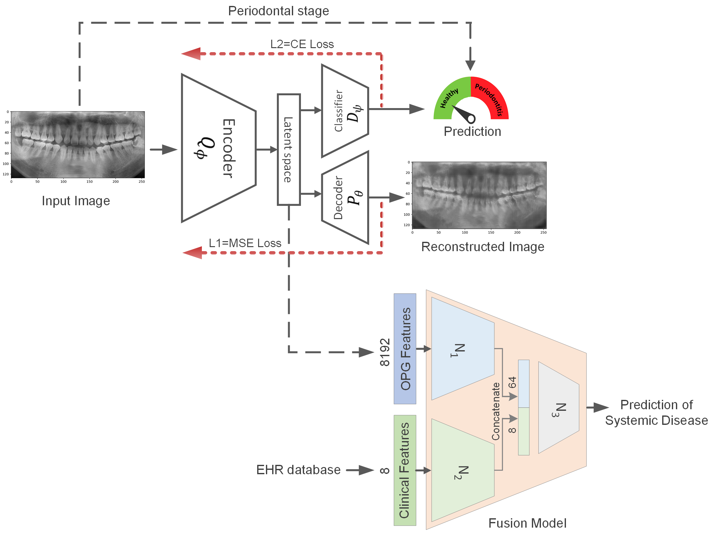 GitHub - ClinicalAI/Fusion_DNN_OPG_EHR
