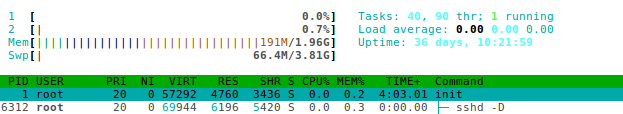 htop bug 1