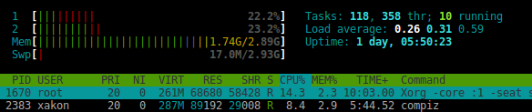 htop bug 2