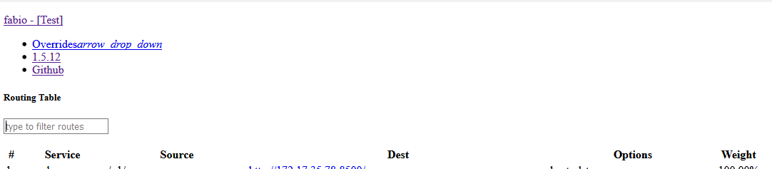fabio-via-dns-name