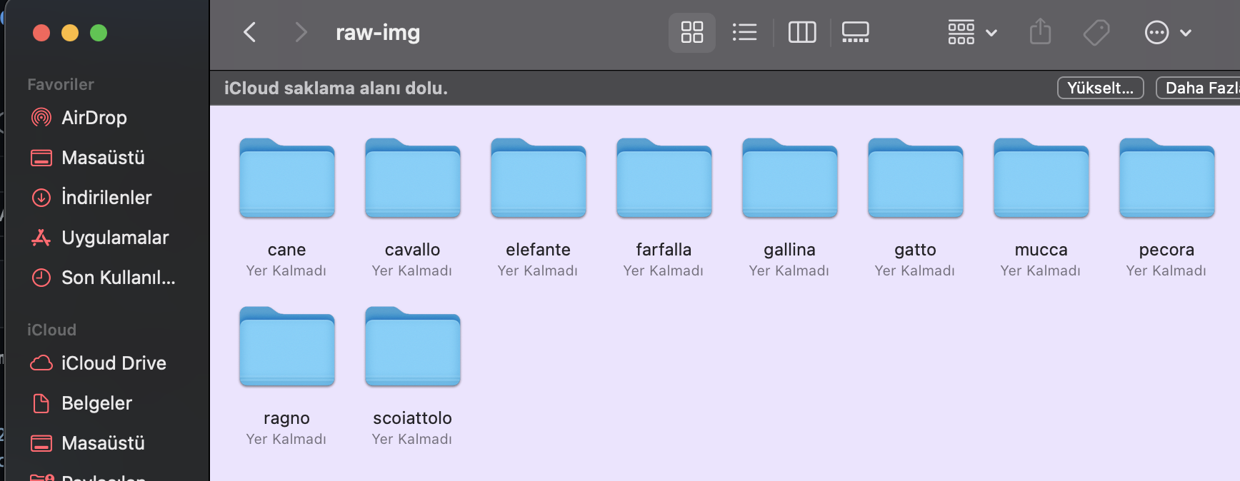 GitHub - Melisabgcvn/Animal-Classification-with-python