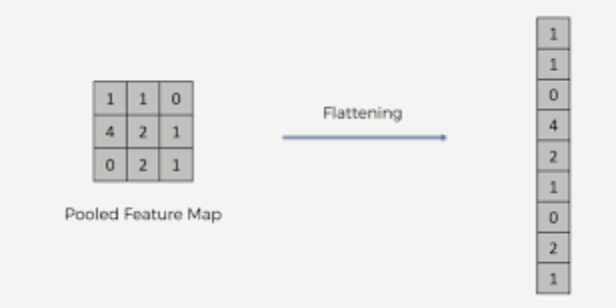 GitHub - Melisabgcvn/Animal-Classification-with-python