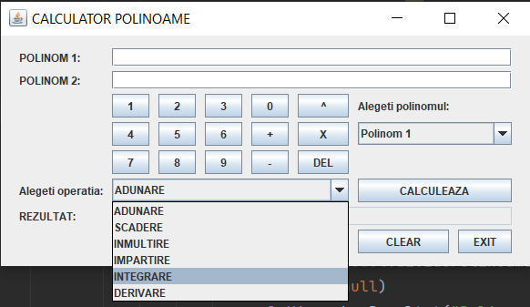GitHub - DavidRebeca/PolynomialCalculator
