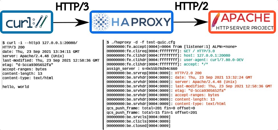 How to test quic on version 2.5 · Issue #1567 · haproxy/haproxy · GitHub