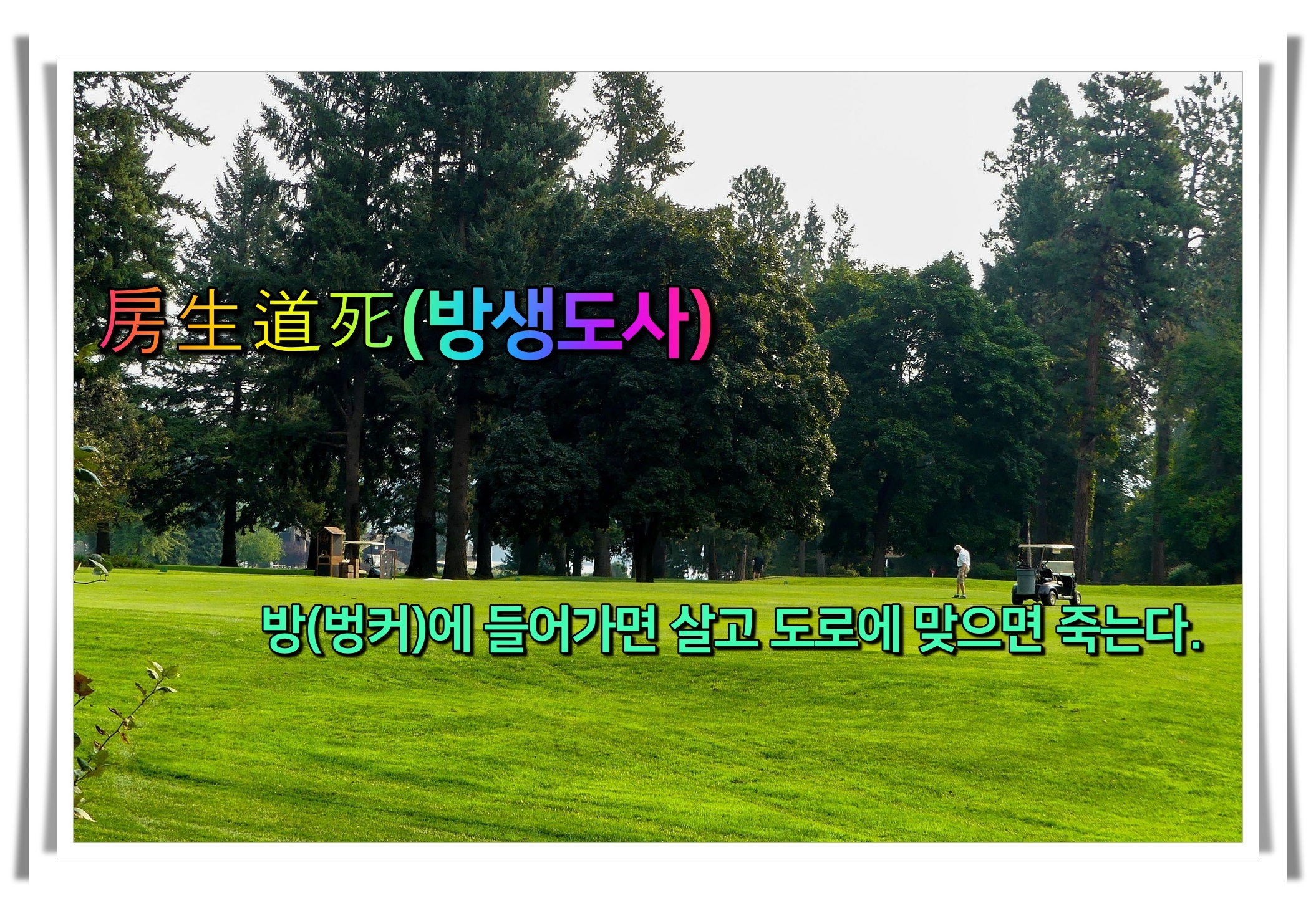 골프 사자성어 골프 유머18 방생도사