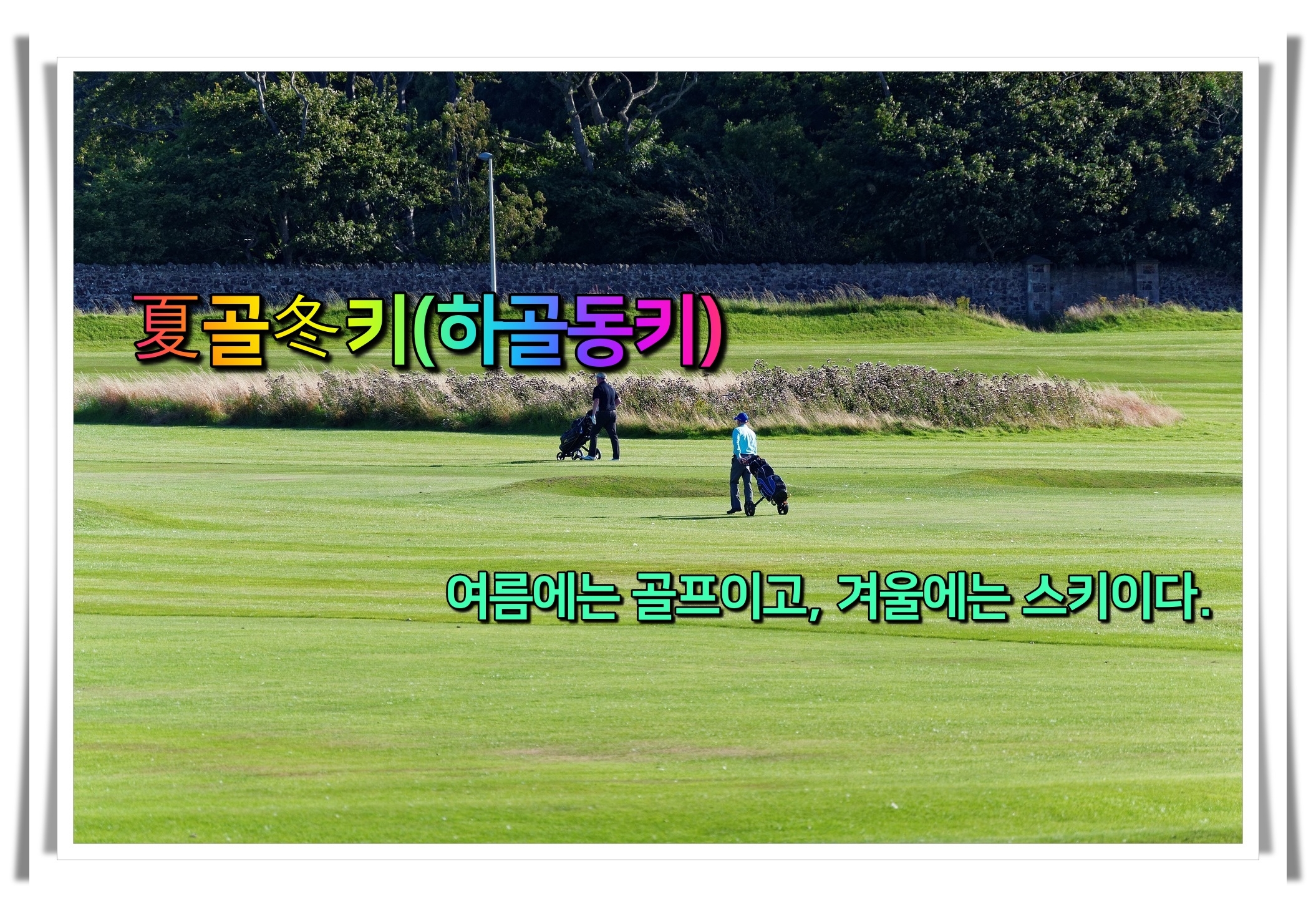 골프 사자성어 골프 유머23 하골동키