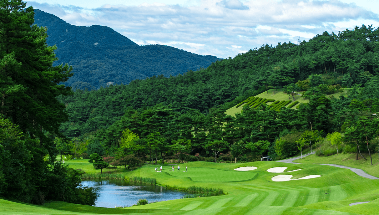 파인힐스 골프코스 힐스코스5