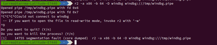windbg