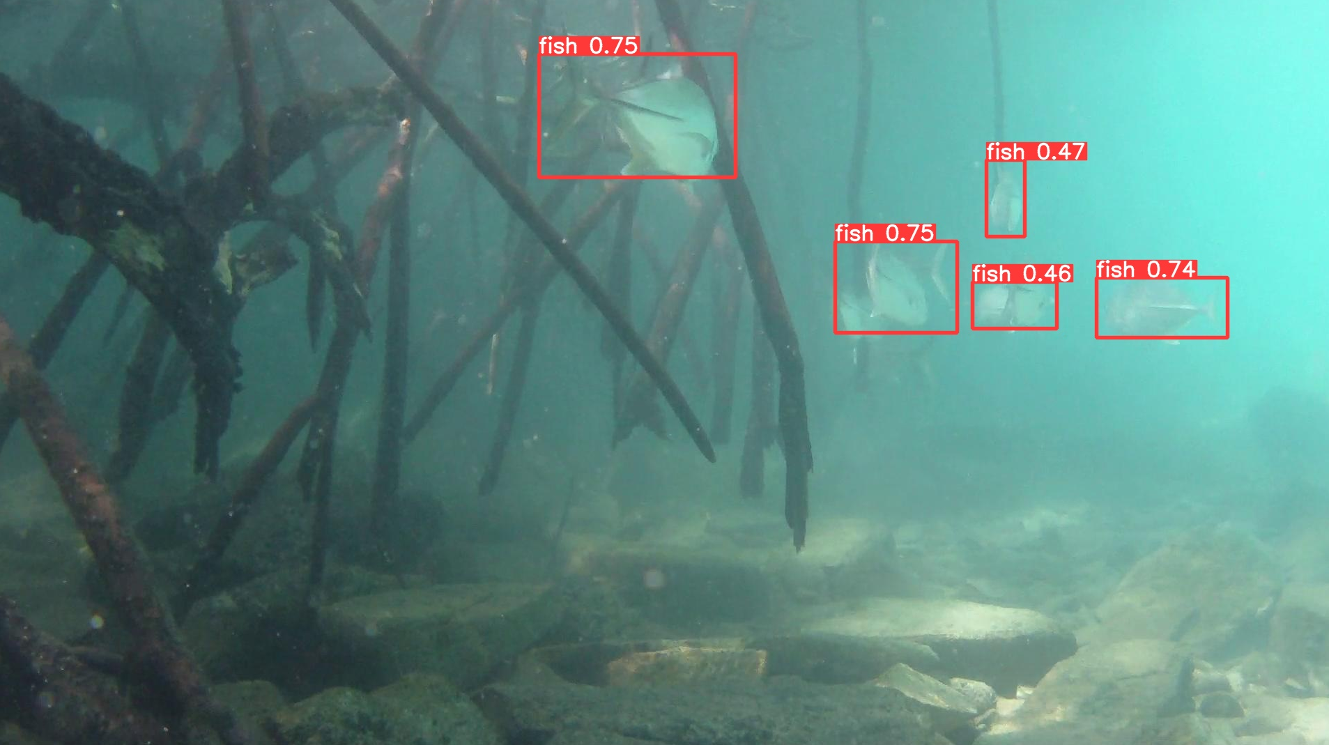 GitHub - Soumik-Pramanik/Under-Water-Fish-Detection-and-Idetification ...