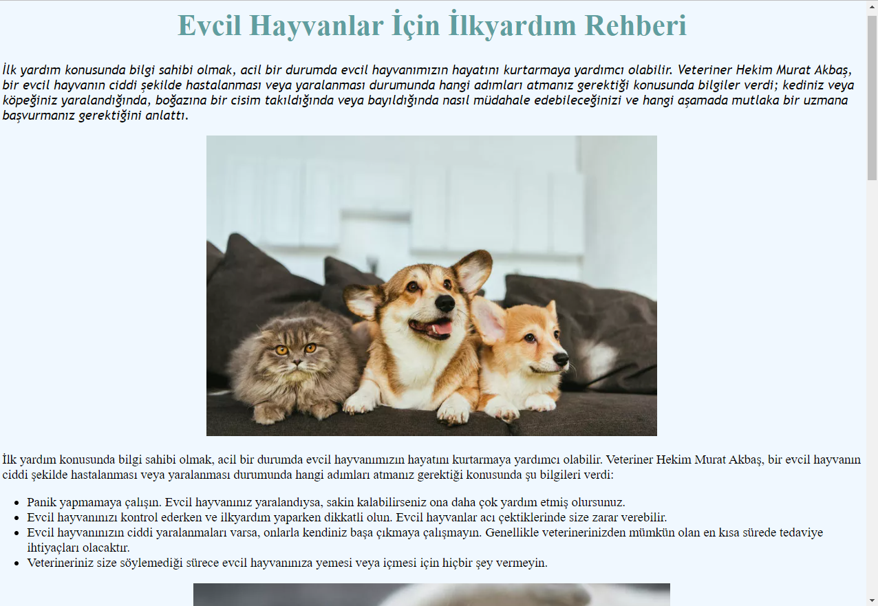 GitHub - arifaydogan0/Project10-Css-Animals: Frontend Patikası Kişisel ...