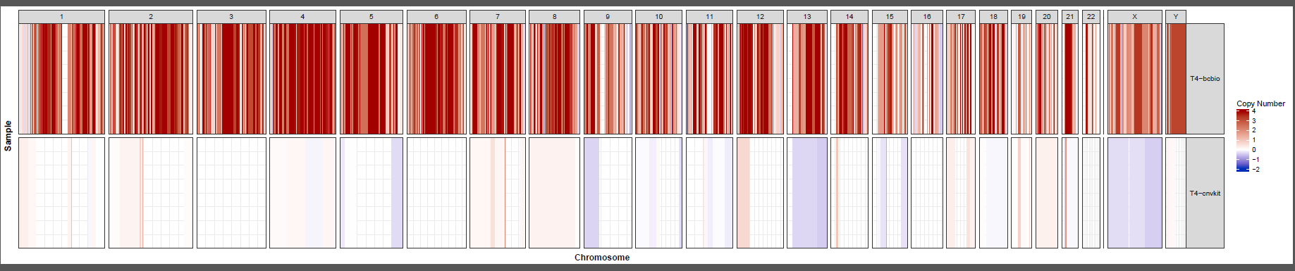Incorrect CNVkit output · Issue #2222 · bcbio/bcbio-nextgen · GitHub