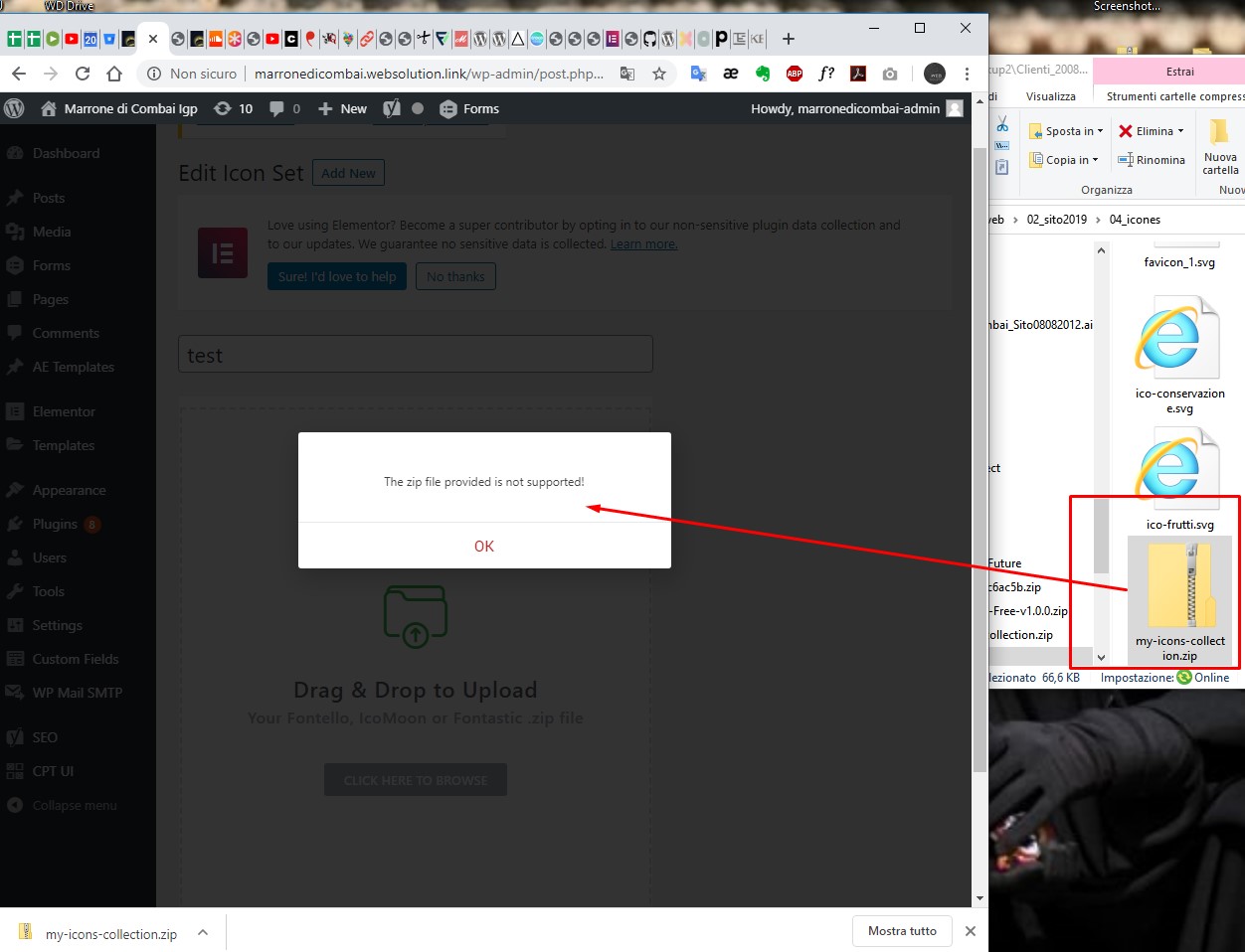 Custom SVG are not loaded · Issue #10213 · elementor/elementor · GitHub