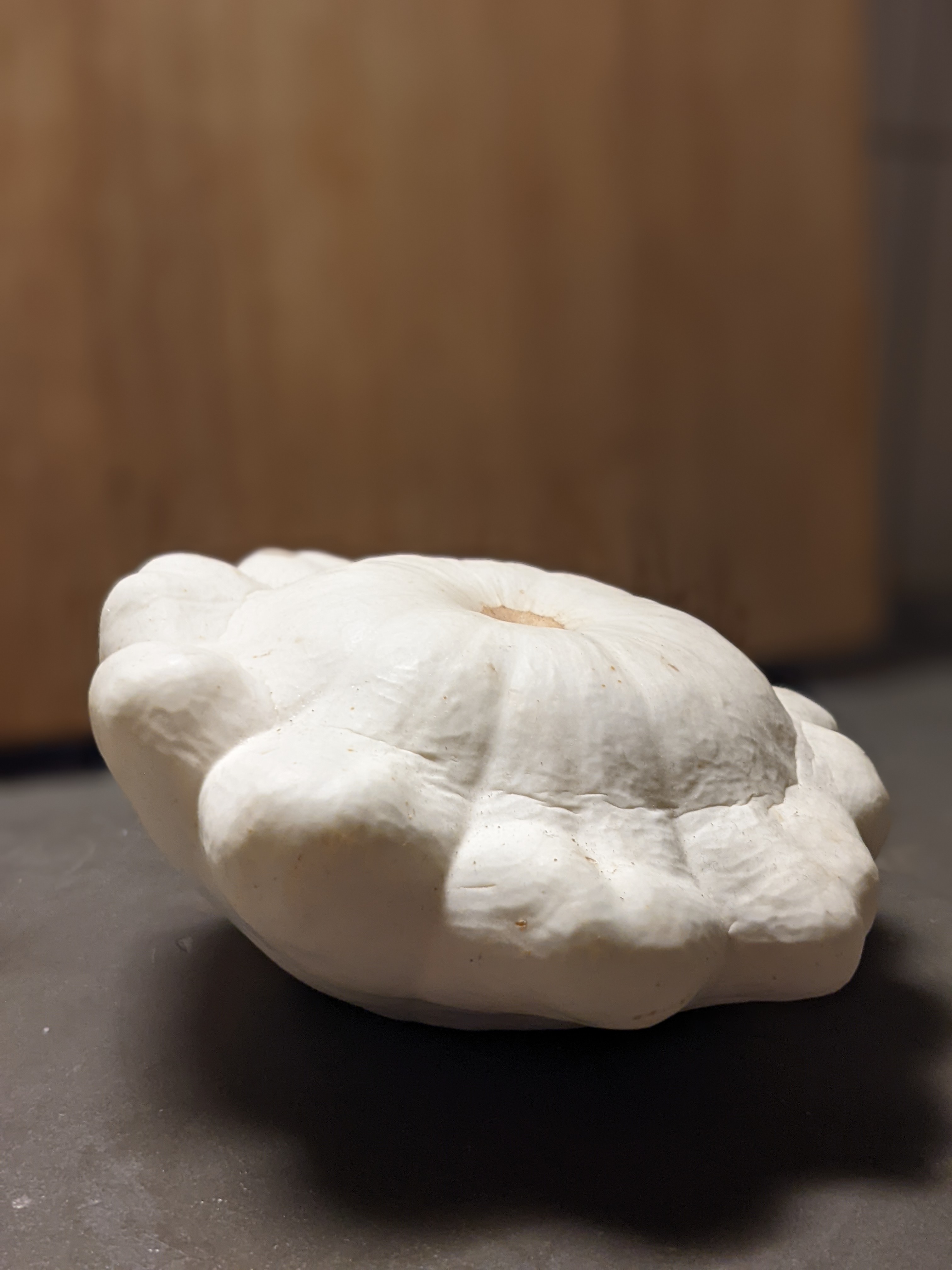 PXL_20220107_021123749 PORTRAIT