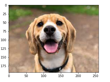 GitHub - PrakrathiShetty/Image-Processing