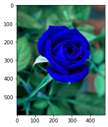 GitHub - Shreya242000/Image-Processing-Lab