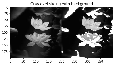 GitHub - Shreya242000/Image-Processing-Lab