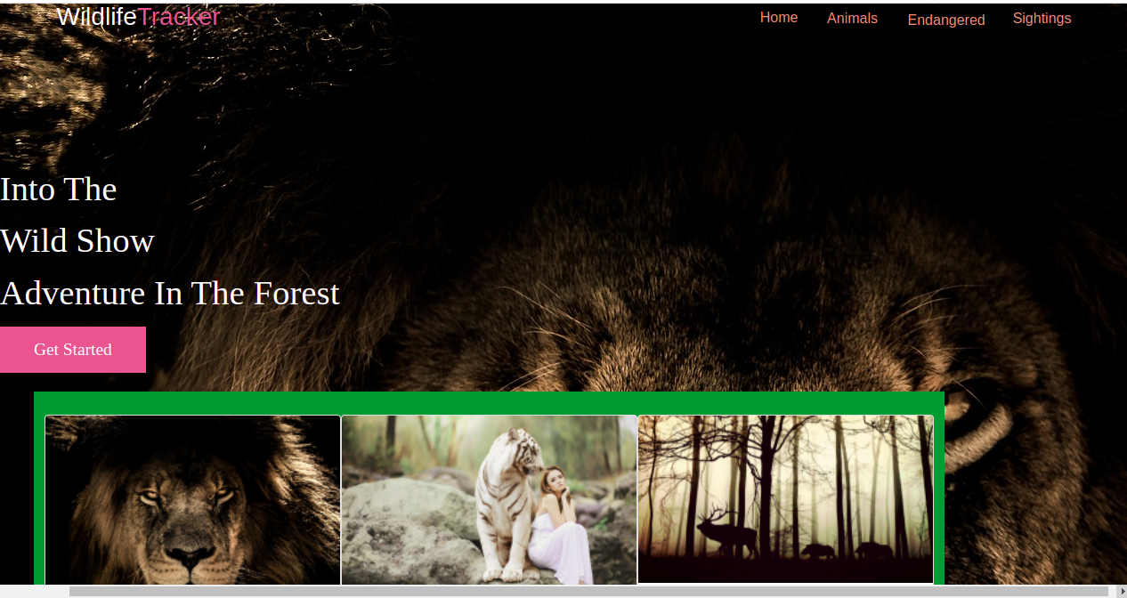 GitHub - Nameyray/Wildlife-tracker: An application that allows a user ...