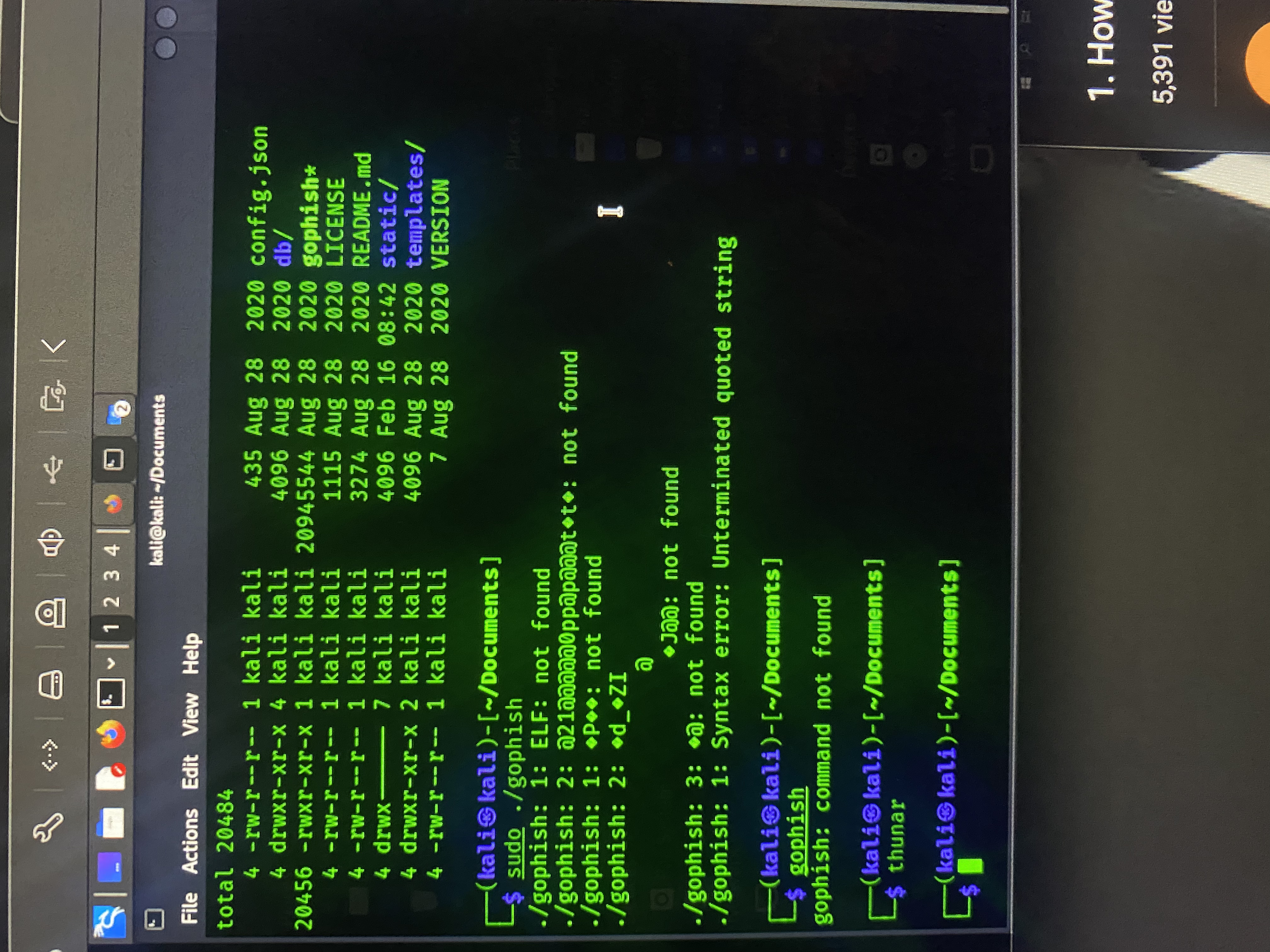 Can’t run goohish · Issue #2400 · gophish/gophish · GitHub