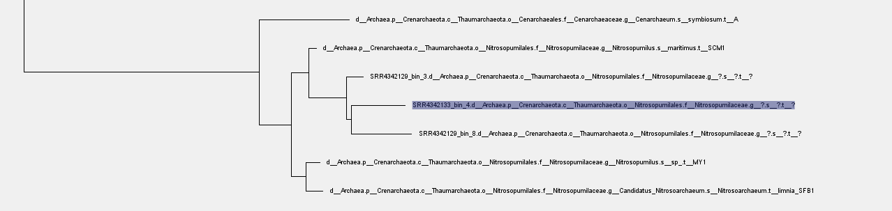 Phylogeny and Annotation - alexzord/plankton2022 GitHub Wiki