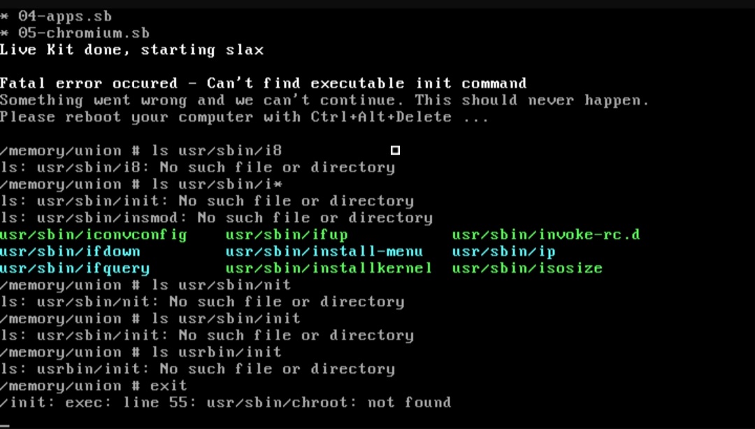 Init Files Cannot find an executable init file · Issue #200 · Tomas-M/linux-live ...