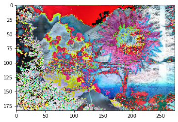 Github Msc Student Mangalore Image Process