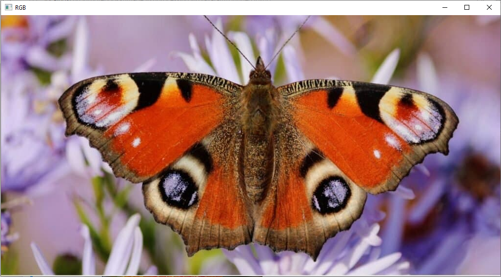 Github Msc Student Mangalore Image Process