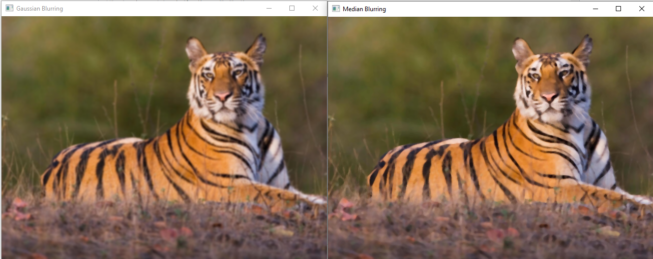 Github Msc Student Mangalore Image Process