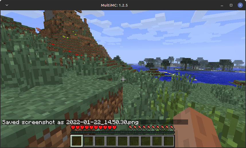 [1.1 - 1.2.5] Cannot take screenshots on window sizes larger than ...