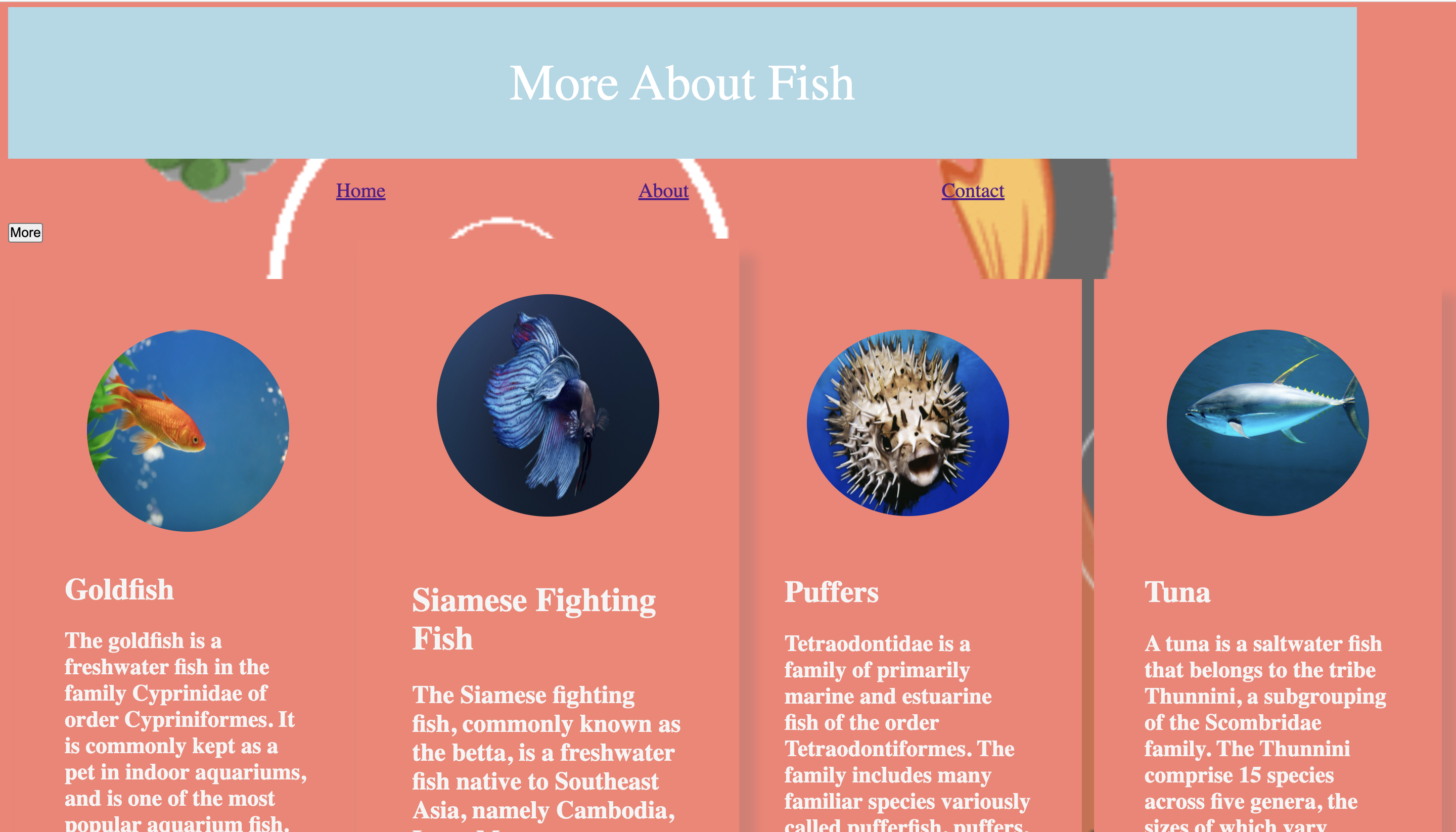 GitHub - Kelvi03/More-About-FISH: Project for Module 2 - Frontend I