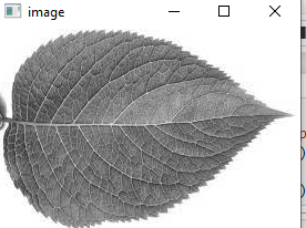 GitHub - shreya-ganiga/image-processing · GitHub