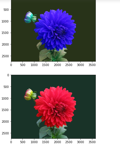 GitHub - shreya-ganiga/image-processing