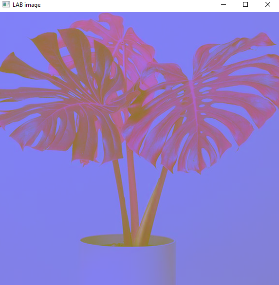 GitHub - shreya-ganiga/image-processing · GitHub