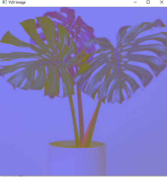 GitHub - shreya-ganiga/image-processing