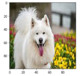 GitHub - shreya-ganiga/image-processing