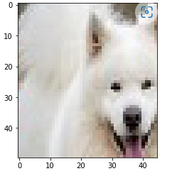 GitHub - shreya-ganiga/image-processing · GitHub