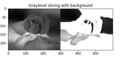 GitHub - shreya-ganiga/image-processing