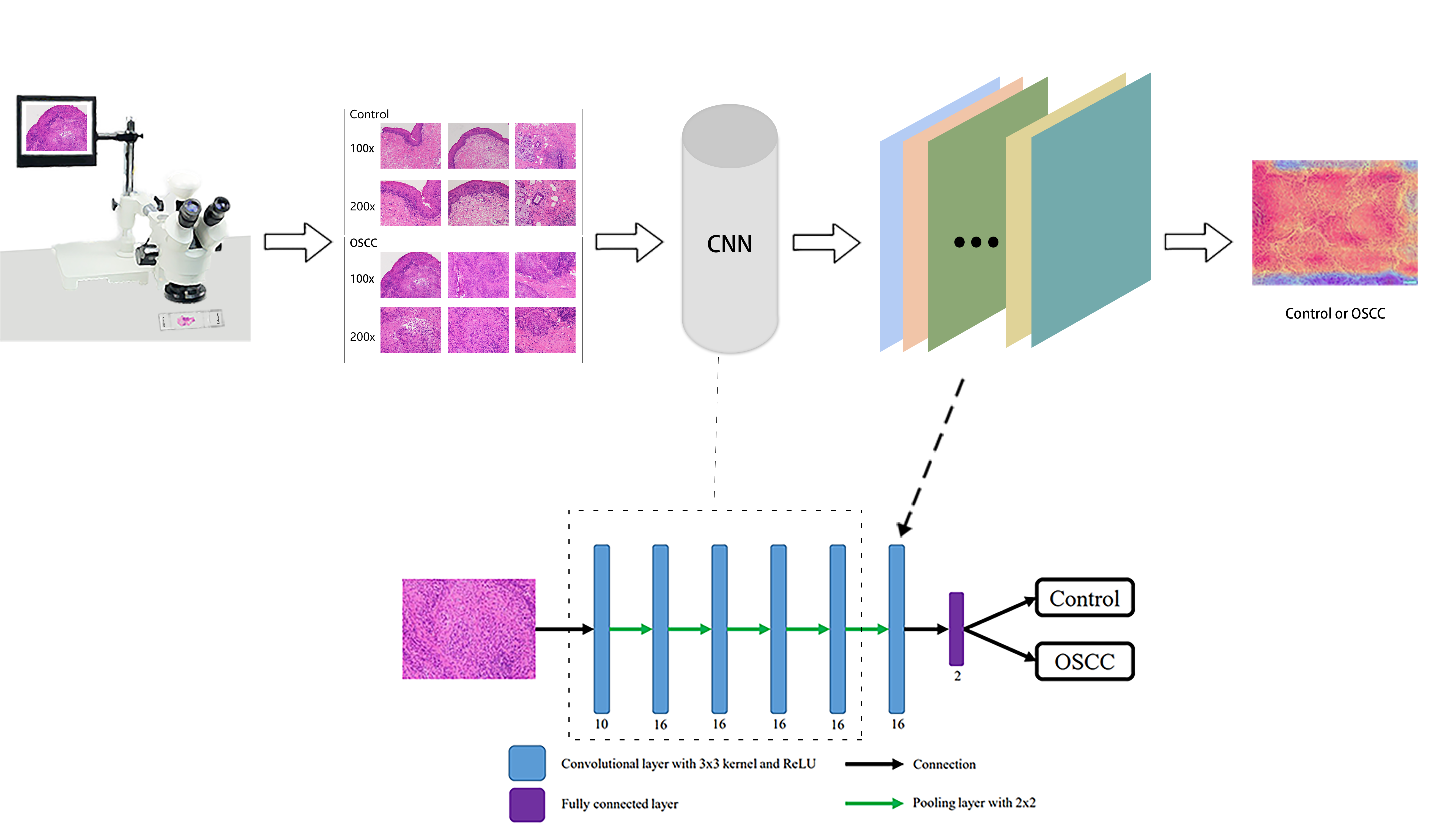 GitHub - syiyang/Deep-Learning-for-OSCC