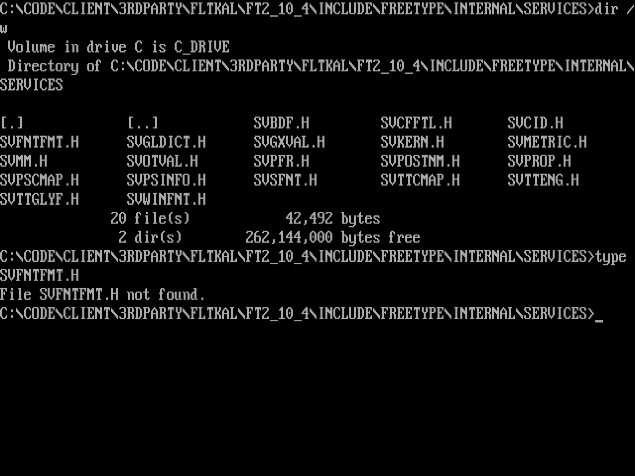 Odd Deep Path Error · Issue #736 · dosbox-staging/dosbox-staging · GitHub